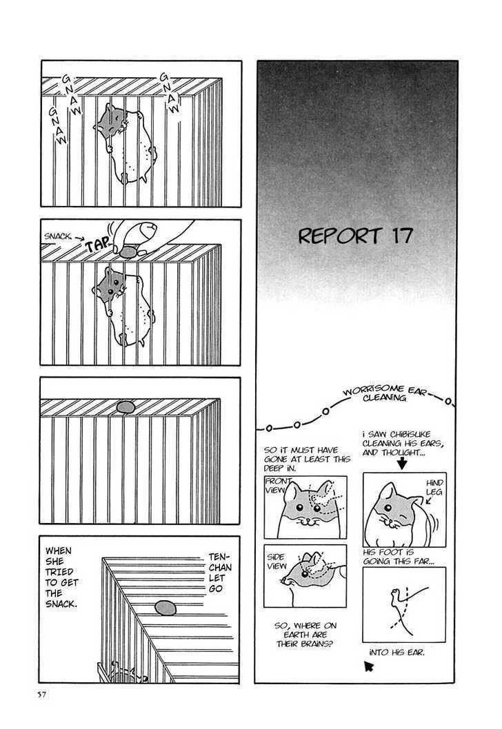 Hamster no Kenkyuu Report Chapter 7 1